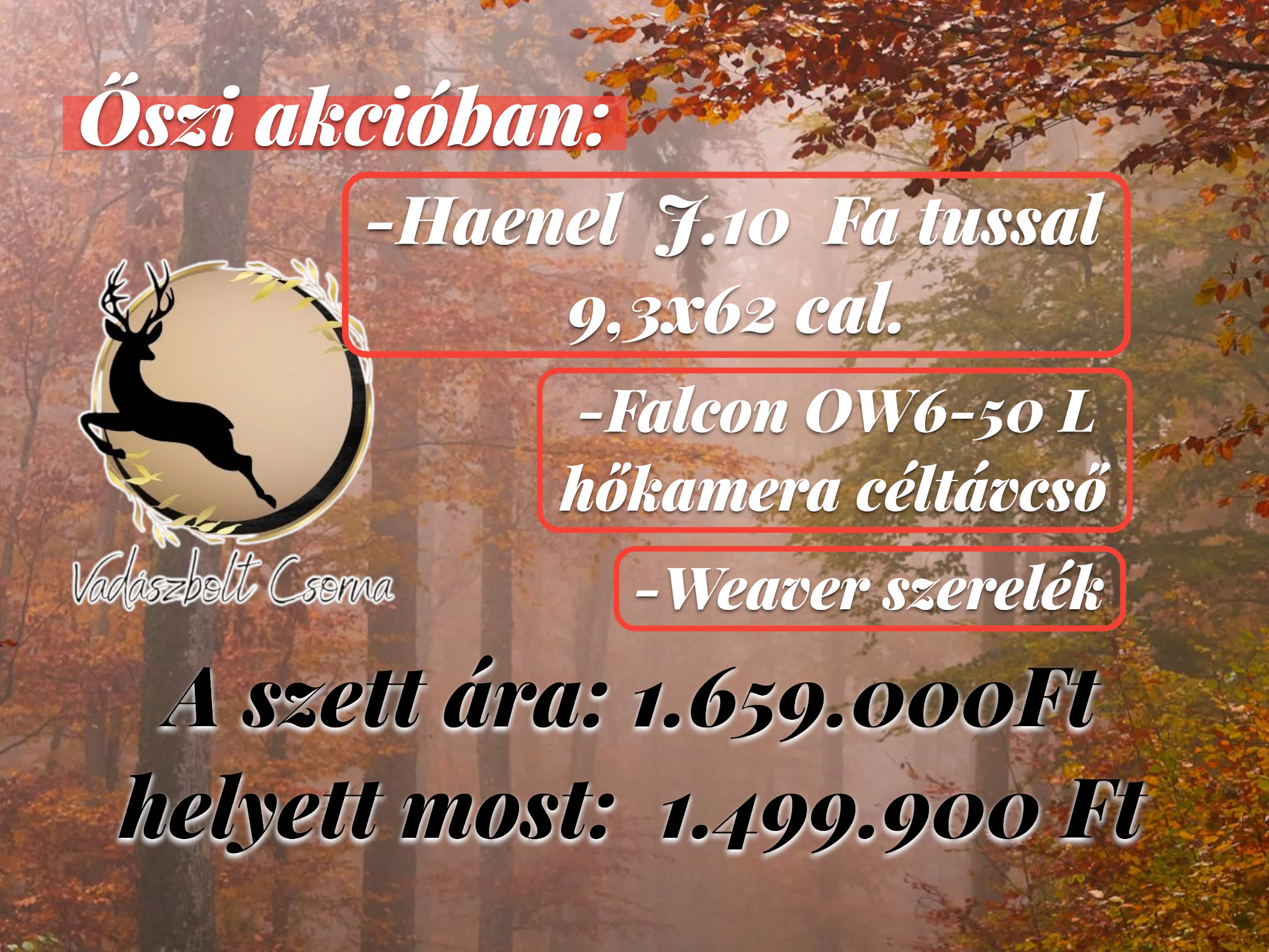 Haenel J.10 9,3x62 + Falcon OW6‑50L hőkamera távcső+ szerelék  Haenel J.10 9,3x62 + Falcon OW6‑50L hőkamera távcső+ szerelék